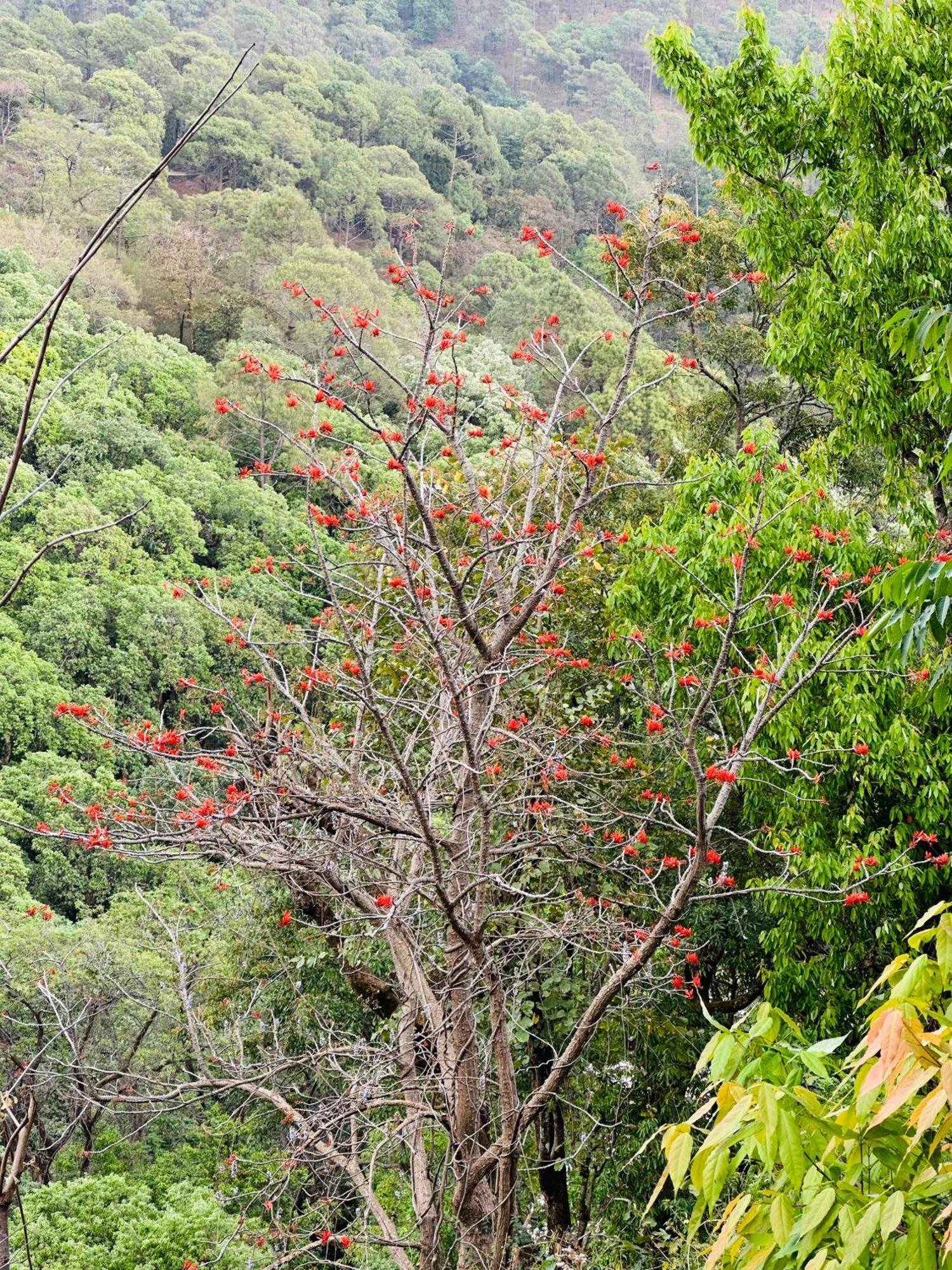 Bhīm TālIncredible Birding Camp公寓 外观 照片