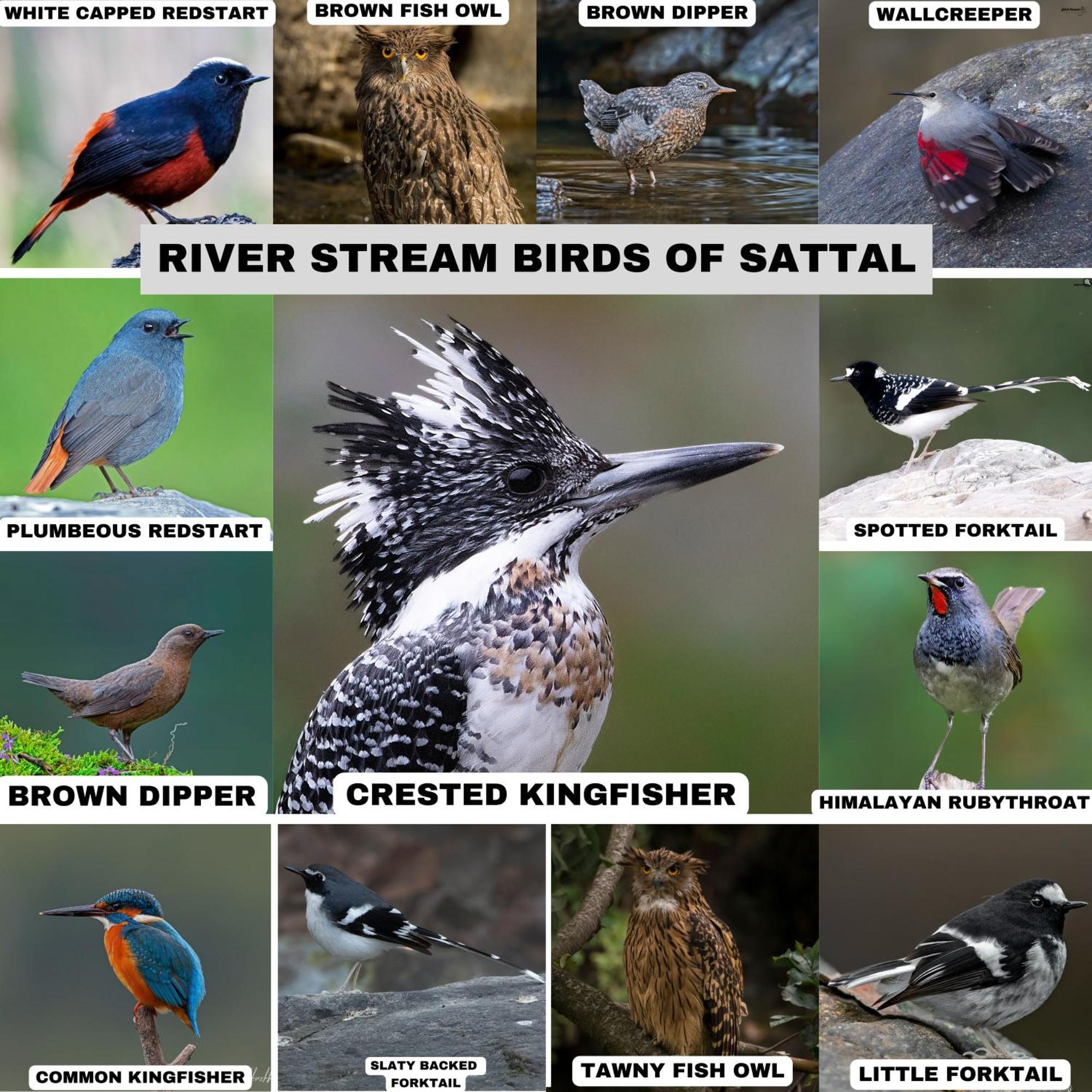 Bhīm TālIncredible Birding Camp公寓 外观 照片